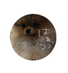 LINEでよく使うことば集めてみた（個別スタンプ：21）