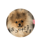 LINEでよく使うことば集めてみた（個別スタンプ：25）