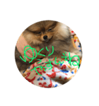LINEでよく使うことば集めてみた（個別スタンプ：26）