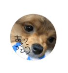 LINEでよく使うことば集めてみた（個別スタンプ：27）