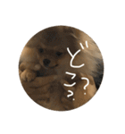 LINEでよく使うことば集めてみた（個別スタンプ：30）