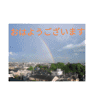 我が家のGardenとわんこ（個別スタンプ：1）