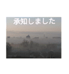 我が家のGardenとわんこ（個別スタンプ：4）