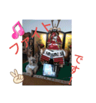 我が家のGardenとわんこ（個別スタンプ：25）