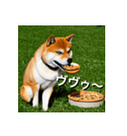 柴犬 Shiba Inu（個別スタンプ：33）