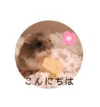 我が家のなかまたち2（個別スタンプ：27）
