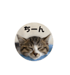 おとらちゃんねる。（個別スタンプ：33）