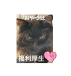 黒猫 ルナ院長 1にゃんめ（個別スタンプ：7）