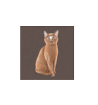 変な猫のスタンプ その1（個別スタンプ：1）
