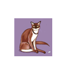 変な猫のスタンプ その1（個別スタンプ：12）