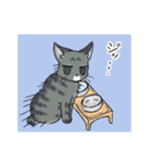 キジトラ猫ちいとサビ猫てん（個別スタンプ：9）