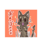 キジトラ猫ちいとサビ猫てん（個別スタンプ：12）