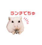 きなことリリー（個別スタンプ：3）