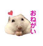 きなことリリー（個別スタンプ：6）