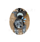 毎食ブッチ（個別スタンプ：13）