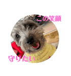 毎食ブッチ（個別スタンプ：15）