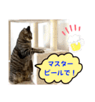 ハッピー＆ラッキースタンプ(=^ェ^=) ⑧（個別スタンプ：24）