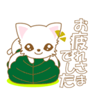 にゃんこ日和(白猫)-toYvu-（個別スタンプ：6）