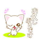にゃんこ日和(白猫)-toYvu-（個別スタンプ：8）