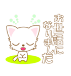 にゃんこ日和(白猫)-toYvu-（個別スタンプ：12）