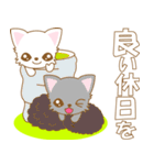 にゃんこ日和(白猫)-toYvu-（個別スタンプ：40）