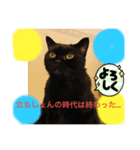 黒猫 ルナ院長3  にゃんめ（個別スタンプ：6）