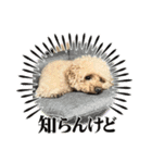 ☆ゆずさん☆（個別スタンプ：2）