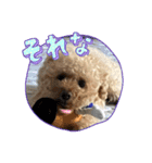 ☆ゆずさん☆（個別スタンプ：3）