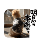 ☆ゆずさん☆（個別スタンプ：8）