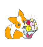 キツネみたいなしっぽのコーギー 春版（個別スタンプ：7）