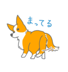 キツネみたいなしっぽのコーギー 春版（個別スタンプ：12）