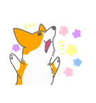 キツネみたいなしっぽのコーギー 春版（個別スタンプ：15）