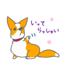 キツネみたいなしっぽのコーギー 春版（個別スタンプ：20）