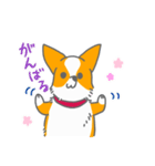 キツネみたいなしっぽのコーギー 春版（個別スタンプ：22）