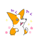 キツネみたいなしっぽのコーギー 春版（個別スタンプ：35）