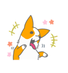 キツネみたいなしっぽのコーギー 春版（個別スタンプ：39）