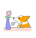 キツネみたいなしっぽのコーギー 春版（個別スタンプ：40）