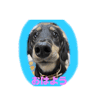 マロ第三段（個別スタンプ：1）