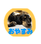 マロ第三段（個別スタンプ：5）