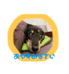 マロ第三段（個別スタンプ：6）