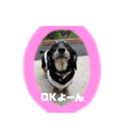 マロ第三段（個別スタンプ：11）