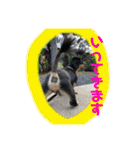 マロ第三段（個別スタンプ：12）