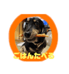 マロ第三段（個別スタンプ：17）