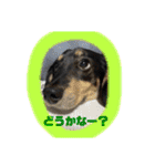 マロ第三段（個別スタンプ：19）