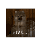 ぶんたた（個別スタンプ：2）