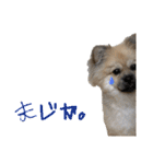 ぶんたた（個別スタンプ：5）