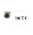 ぶんたた（個別スタンプ：6）