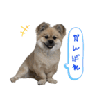 ぶんたた（個別スタンプ：23）