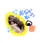いろなときどきあやと（個別スタンプ：7）