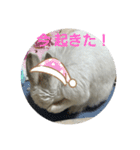 ゆる小梅スタンプ1（個別スタンプ：10）
